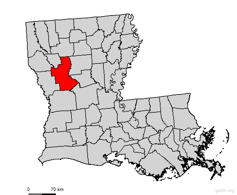natchitoches