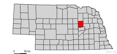 boone