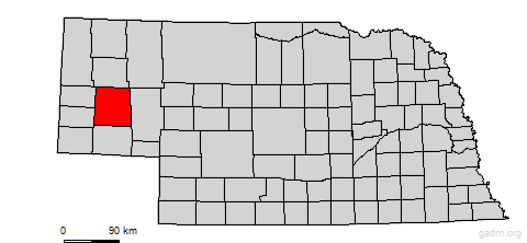 morrill