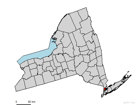 bronx