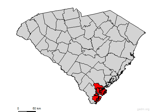 beaufort