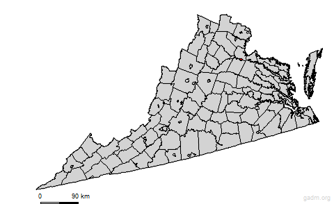 fredericksburg